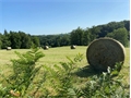 Image du bien UBI475191764